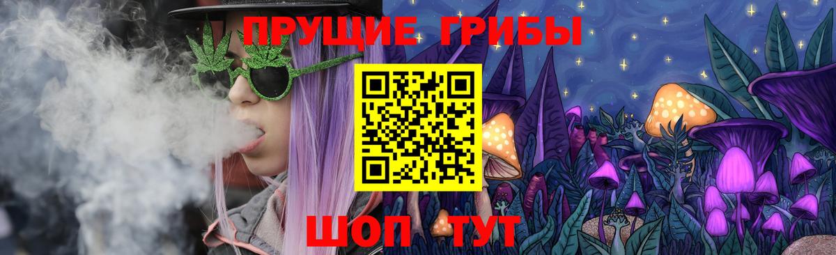 Галлюциногенные грибы Psilocybine cubensis Миллерово