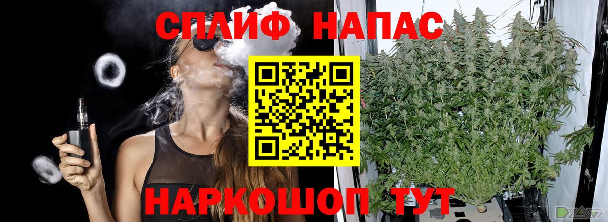 Канабис сатива Миллерово
